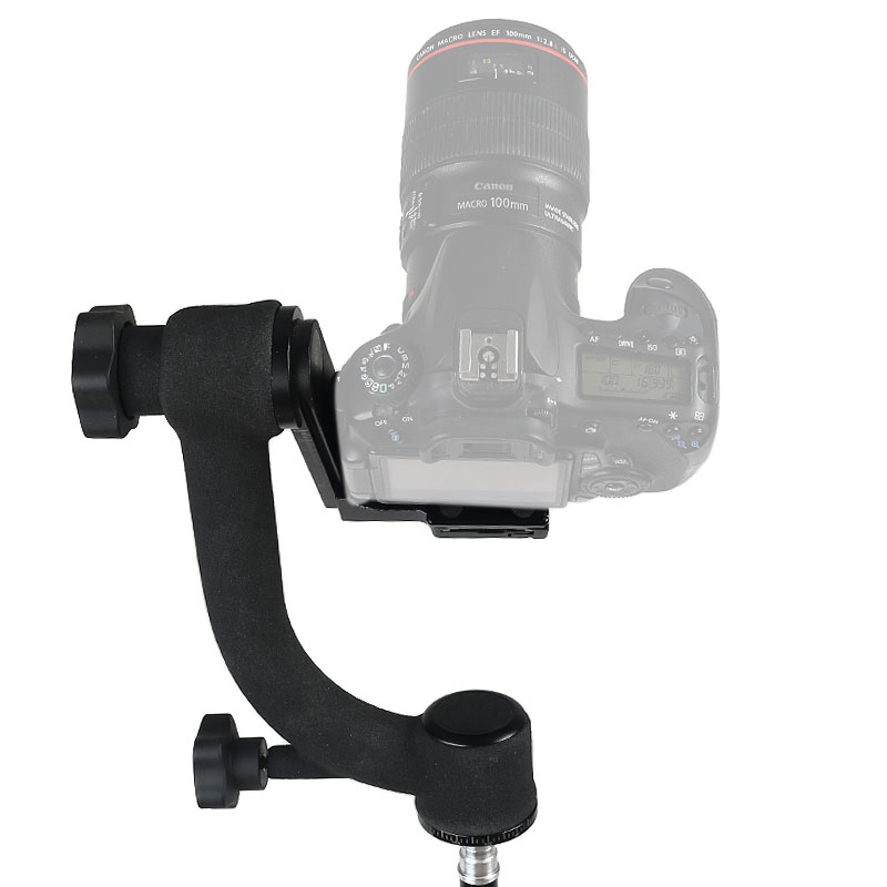 head-bk-45 head-bk-45