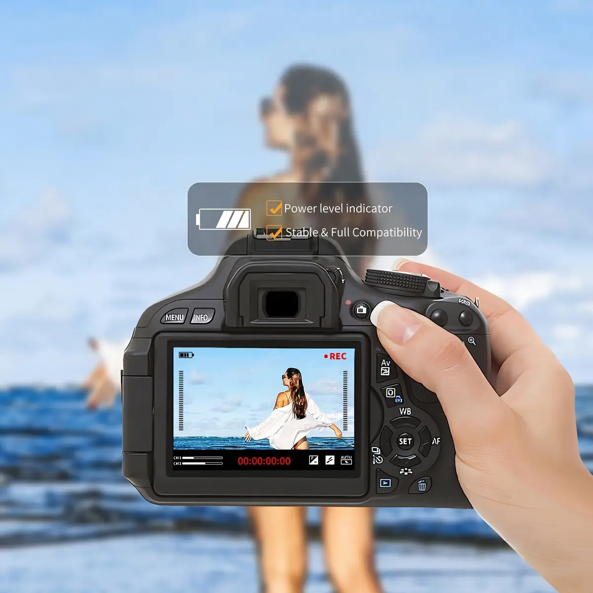 Экран камеры Sony с индикатором заряда аккумулятора ZGCINE BT-FZ100