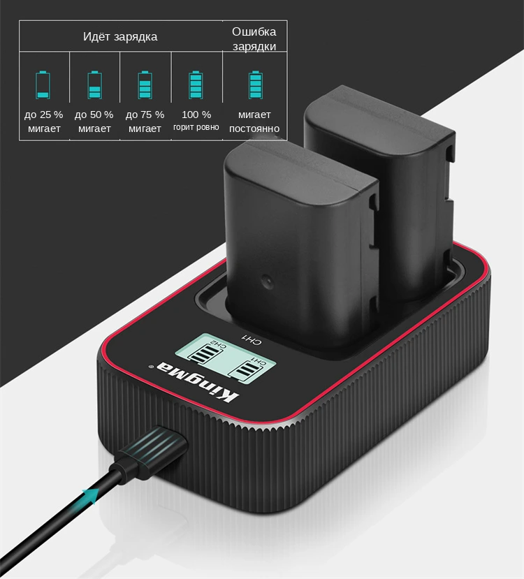 Шкала LCD-индикатора зарядного Kingma BM058-BLF19E по каждому из двух слотов
