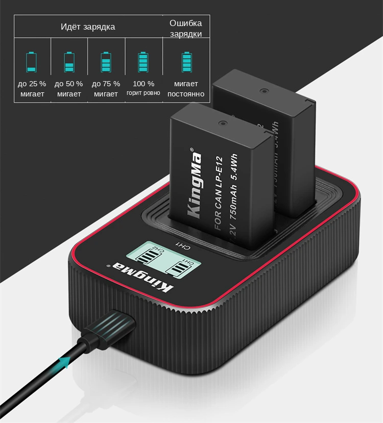 Шкала LCD-индикатора зарядного Kingma BM058-LPE12 по каждому из двух слотов