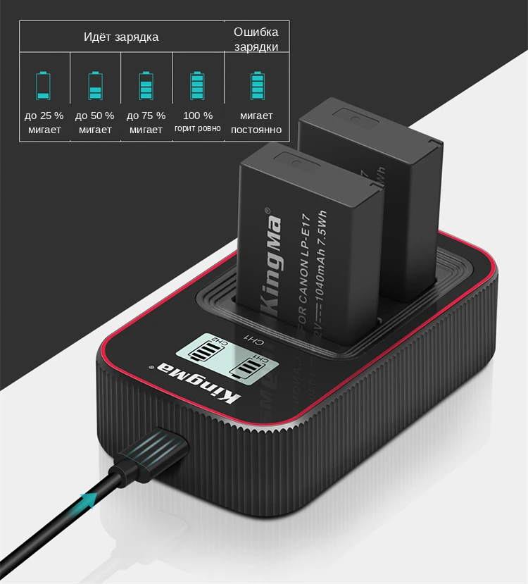 Шкала LCD-индикатора зарядного Kingma BM058-LPE17 по каждому из двух слотов