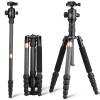 Штатив Beike Q668C Carbon