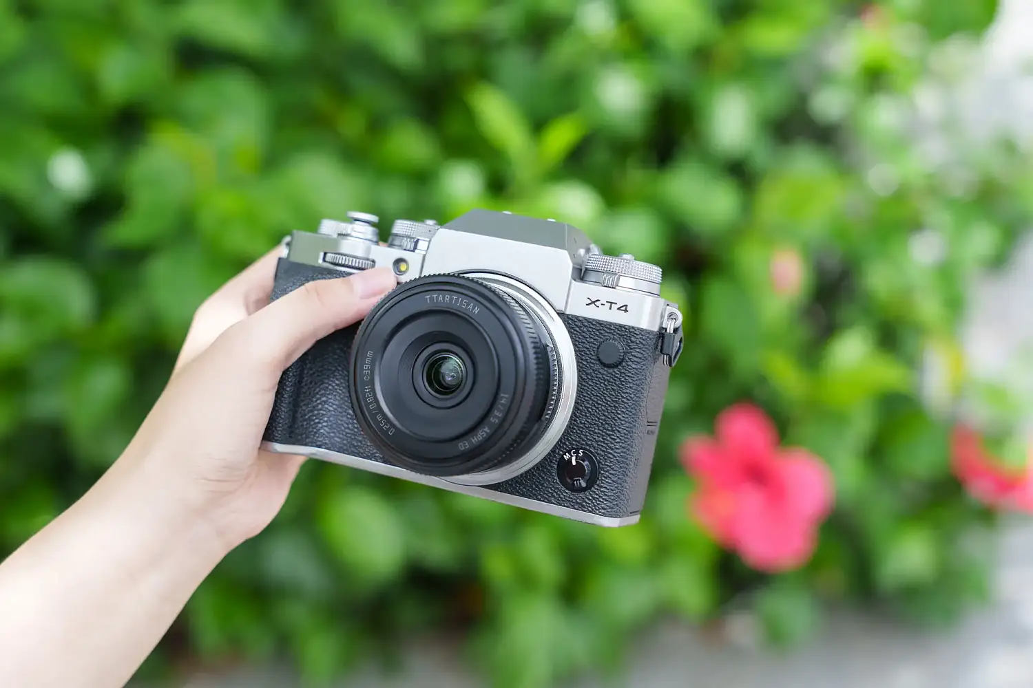 Объектив TTArtisan AF 14 мм F3.5 на камере Fujifilm X-T4 в руке на природе