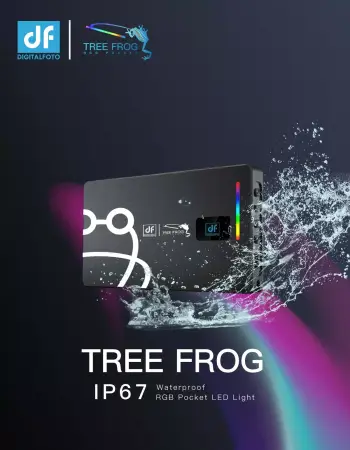 Свет DigitalFoto Tree Frog