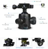 Штатив Beike Q668C Carbon