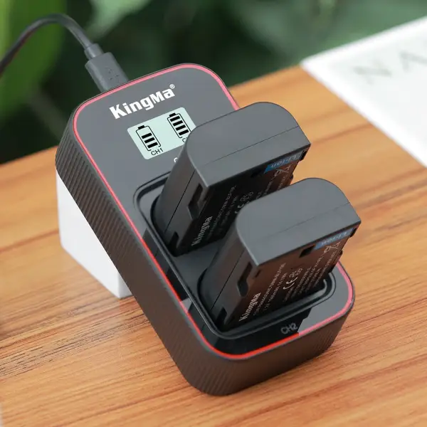 Зарядное Kingma BM058-BLF19E с двумя аккумуляторами Panasonic DMW-BLF19E в слотах