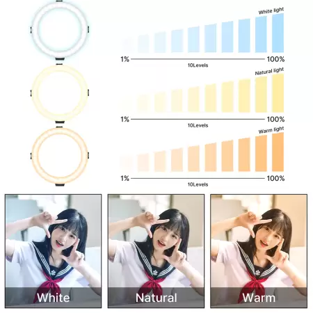 от теплого к холодному