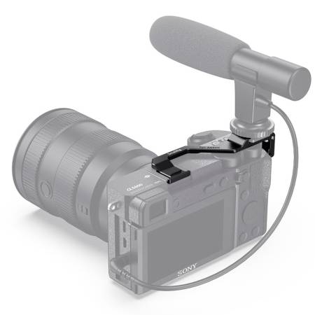 с микрофоном